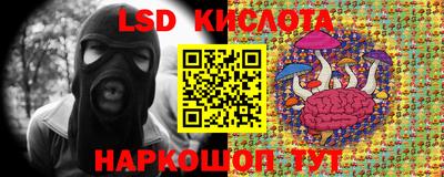 альфа пвп Аргун