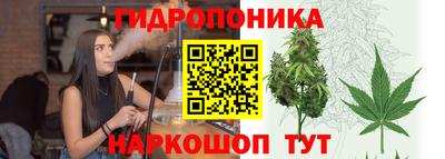 альфа пвп Аргун