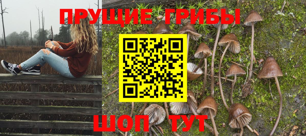 Богородск  Псилоцибиновые грибы GOLDEN TEACHER  Вход с VPN 